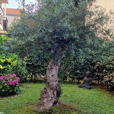 Superbe Appartement Avec Jardin Saint Charles Biarritz Ngoại thất bức ảnh